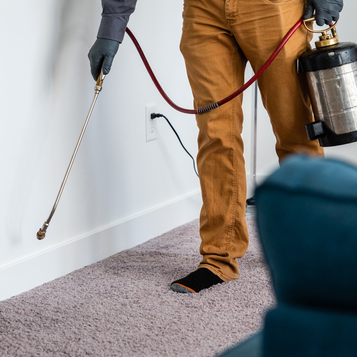 Battling April Pest Woes: A Guide for Katy, Sugar Land, and Houston, Texas